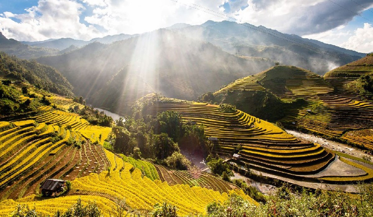 Ruộng bậc thang - Vẻ đẹp nông nghiệp của người Mông