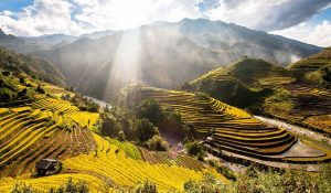 LỄ HỘI MƯỜNG LÒ CÙNG MÀN ĐẠI XÒE ĐÔNG NHẤT TRONG LỊCH SỬ