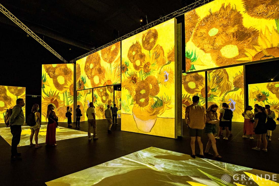 TRIỂN LÃM ĐA GIÁC QUAN "VAN GOGH ALIVE"