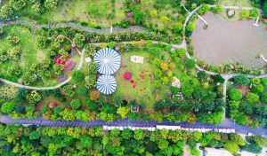 Tổ chức sự kiện Ecopark