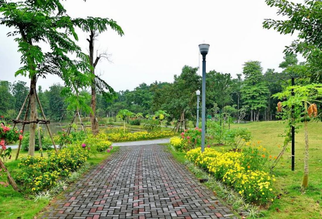 Công viên mùa hạ